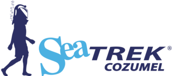 Sea Trek CZM Logo Sea Trek in Cozumel