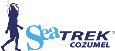 Sea Trek CZM Logo Sea Trek in Cozumel