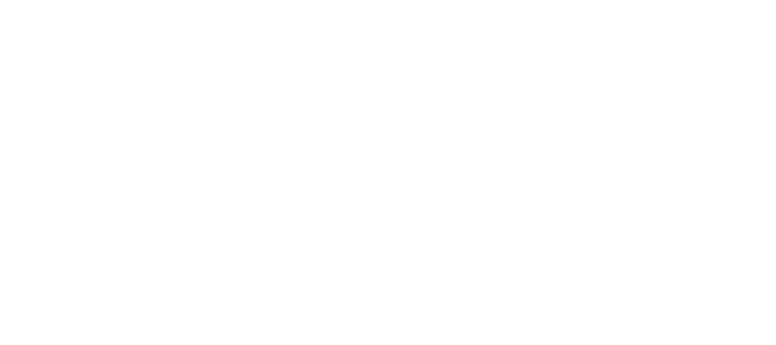 Sea Trek CZM Logo REV Sea Trek in Cozumel