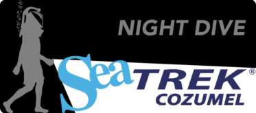 Sea Trek NIGHT DIVE CZM Logo Sea Trek Night Dive in Cozumel