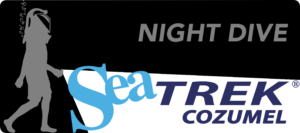 Sea Trek Night Dive in Cozumel